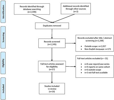 Anti-estrogen Treatment in Endometrial Cancer: A Systematic Review